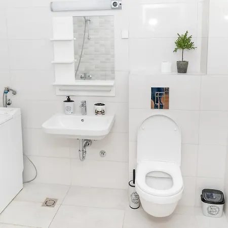 Don Vito * 贝尔格莱德